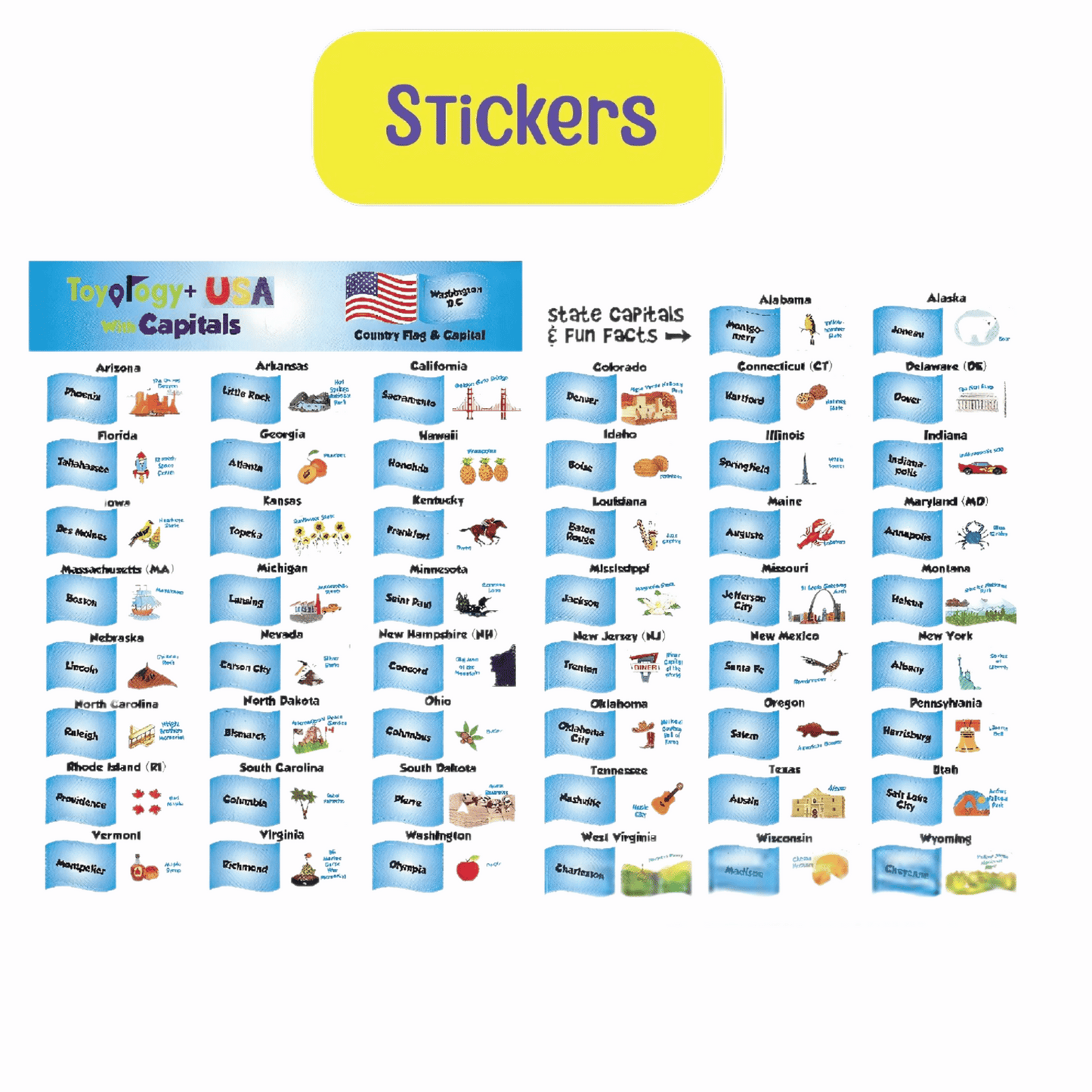 Toyology USA Map Puzzle with Flags